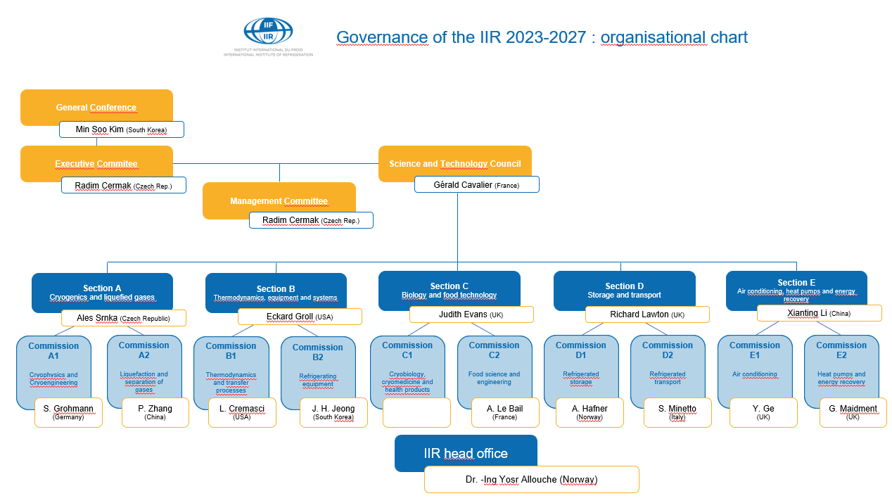 Organisational chart of the IIR