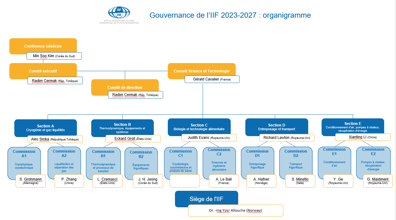 Organigramme IIF