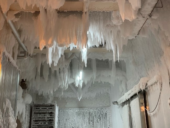 détail du givre dans le stockage -60°C au niveau de l’entrée