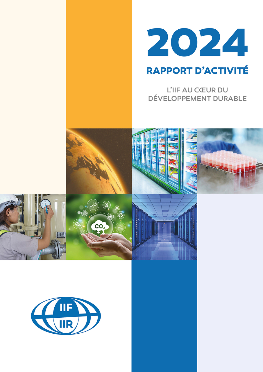 Première de couverture du rapport