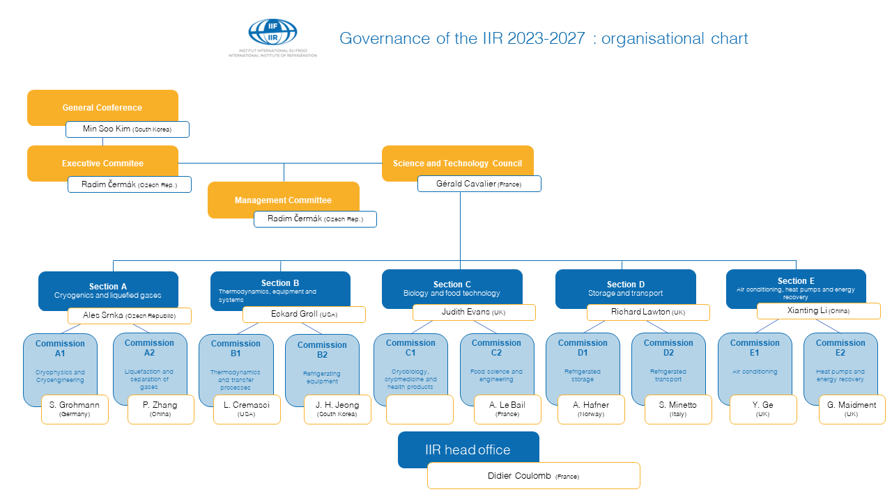 Organisational chart of the IIR